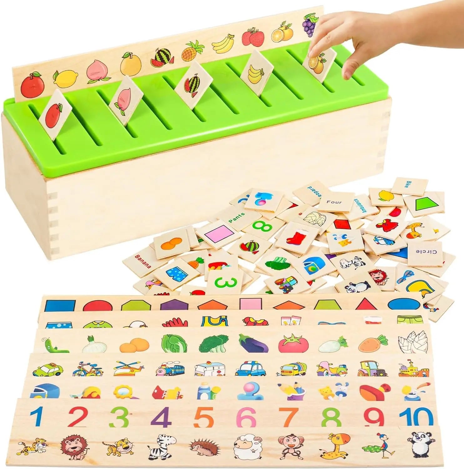 Wooden Sorting & Matching Toy Box – Little Bubbaz