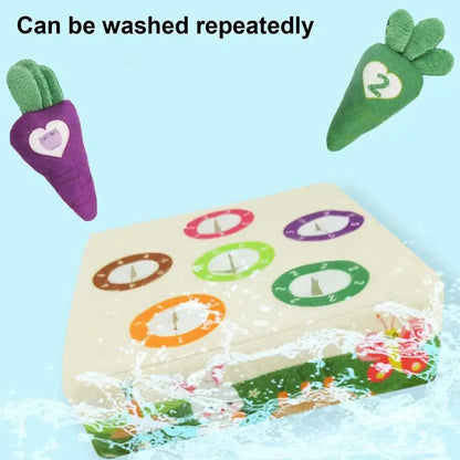 Carrot Harvest Stuffed Montessori Toys